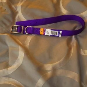 Purple Dog collar